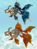 Pair of Adorable Gold Tone Rhinestone Enamel Goldfish Brooches | 2" ea Across