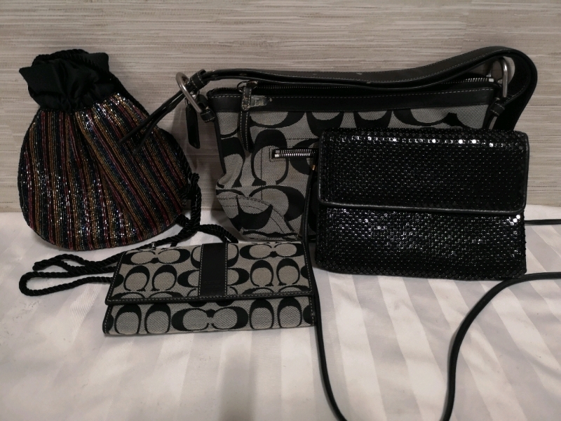 Ladies Evening Purses + Wallet