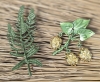 Dangly Gold Tone Enamel Dangly Hops Beer Brooch & Classy Fern Frond Brooch | Up to 2.4" Long