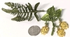 Dangly Gold Tone Enamel Dangly Hops Beer Brooch & Classy Fern Frond Brooch | Up to 2.4" Long - 4