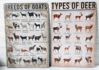 2 New Goat & Deer Breed Types Metal Signs - 12"X8"