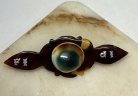 Victorian Glossy Operculum Shell on Tortoise Shell Bar Brooch