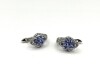 Sterling Silver Natural Tanzanite (0.65ct) With Natural White Topaz (0.10ct) Earrings, W/A $530.00. Tanzanite is the birthstone for December. - 2