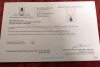 10KT Yellow Gold Natural Iolite (0.50ct) and Natural Moonstone (0.04ct) with Gold Plated Sterling Silver Chain, W/A $600.00. - 5