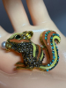 Rhinestone Enamel Squirrel Brooch Holding a Pearl - 6