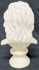 Neat Semi-Translucent Bust of Presumed Zeus / Jupiter | 13" Tall - 4