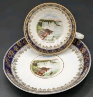 Niagara Falls Souvenir Tea Cup & Saucer Made in Germany