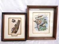 Framed American Redstart Chromolithographed Print by Thomas Gentry & Red-headed Woodpecker Print by John James Audubon