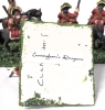 5 Pairs 28mm Handpainted Cast Metal British Wargaming Figures : Cunningham's Calgary Dragoons on Flocked Bases | 2" Tall - 3