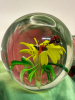 Hand Blown Art Glass Paperweight Yellow Flower & Butterflies - 4