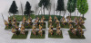Ten (10) Sets Handpainted Macedonian Phalangites Foot Soldiers Wargaming 28mm Plastic Miniatures .