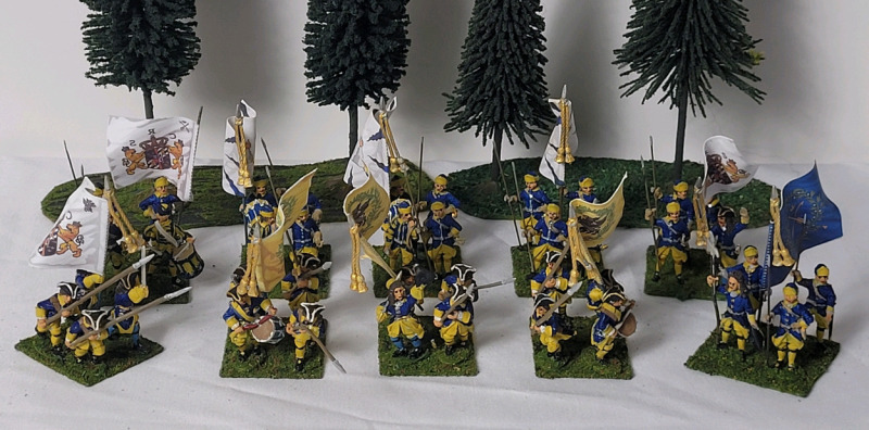 Ten (10) Sets Handpainted " Sweden Foot Soldier Battalions Napoleonic Wars " 28mm Lead Miniatures