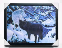 New | Framed Lenticular Stereoscopic 3D Wolf Picture | 13" x 17"