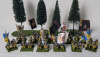 Eleven (11) Sets Handpainted " Sweden Foot Soldier Battalions Napoleonic Wars " 28mm Lead Miniatures