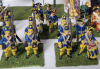 Eleven (11) Sets Handpainted " Sweden Foot Soldier Battalions Napoleonic Wars " 28mm Lead Miniatures - 3