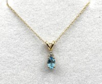 10KT Yellow Gold Natural Blue Topaz (0.50ct) and Natural Diamond (0.02ct) Pendant With 10KT Yellow Gold Chain, W/A $670.00.