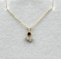 10KT Yellow Gold Natural Garnet Flower Pendant With Gold Plated Sterling Silver Chain, Retail $300.00. Garnet is the birthstone for January.