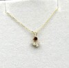 10KT Yellow Gold Natural Garnet Flower Pendant With Gold Plated Sterling Silver Chain, Retail $300.00. Garnet is the birthstone for January. - 2
