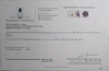 14KT Yellow Gold Natural Amethyst (2.5ct) Earrings, W/A $600.00. Amethyst is the birthstone for February. - 5