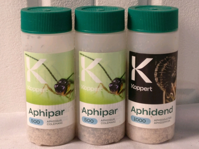 Lot Of Koppert Beneficial Insects - As Is