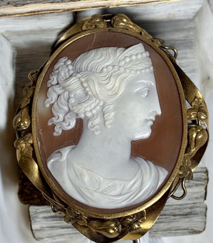 Antique Carved Shell Large Cameo C Clasp Brroch Left Facing Beautiful Oval Frame