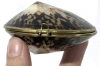 Pair of Stellar Shell Trinket Boxes / Coin Purses Banded in Brass | Up to 2.75" Across - 4