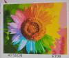 3 New Flower-Themed Paint By Numbers Kits . Each Kit measures 12"×16" - 3