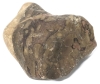 Silicified Fossilized Wood-Bearing Jasper Druzy Crystal Rough Cabochon - A Good-Sized Chunk! | 3" x 3.25" x 1.5" / 394.2g - 4