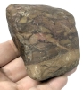 Silicified Fossilized Wood-Bearing Jasper Druzy Crystal Rough Cabochon - A Good-Sized Chunk! | 3" x 3.25" x 1.5" / 394.2g - 5