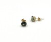 10KT Yellow Gold Natural Mystic Topaz (1ct) Earrings, W/A $500.00. - 2