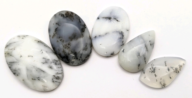 5 DENDRITE AGATE Cabochons 100 Carats.