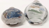 Duo of Adorable Vintage Reverse-Painted Glass Chinese Snuff Bottles: Kittens & Asiatic Dragons | Up to 5" Tall - 8