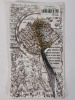 New - Miniature Famous Swords . Robin Hood Sword & Falcata Sword . Swords measure 6" long - 4