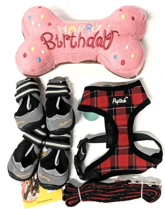 New Dog Products! Plush Happy Birthday Bone with Squeaker, Size Small Puptech Soft Mesh Harness & Leash + Size 2 QuMy Pet Outdoor Dog Shoes