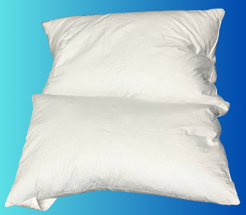 Pair of Loring Home Goose Down + Feather Pillows with 100% Cotton Outer Covers | 16" x 26" each