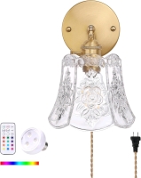 New Shenmoyl Vintage-Style Battery Operated Wall Sconce with Transparent Floral Shade, RGB Color Changing & Remote Control | Shade 4.5" Long