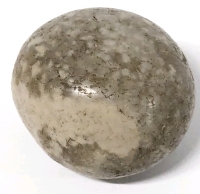 Interesting Smooth Round Speckled Stone - Possible Fossilized Bone! | 1" Across, 24.3g