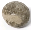 Interesting Smooth Round Speckled Stone - Possible Fossilized Bone! | 1" Across, 24.3g