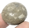 Interesting Smooth Round Speckled Stone - Possible Fossilized Bone! | 1" Across, 24.3g - 4
