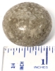 Interesting Smooth Round Speckled Stone - Possible Fossilized Bone! | 1" Across, 24.3g - 5