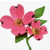 Vintage Vibrant 1960&rsquo;s Bright Pink Enamel Dogwood Flower Brooch Luminates Orange Under Black Light - 6