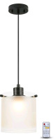 New - Oiyio Modern LED Pendant Light , Black Pendant Lights with Frosted Glass, Dimmable Pendant Light Fixture with Remote, Adjustable Cord Drop Hanging Light