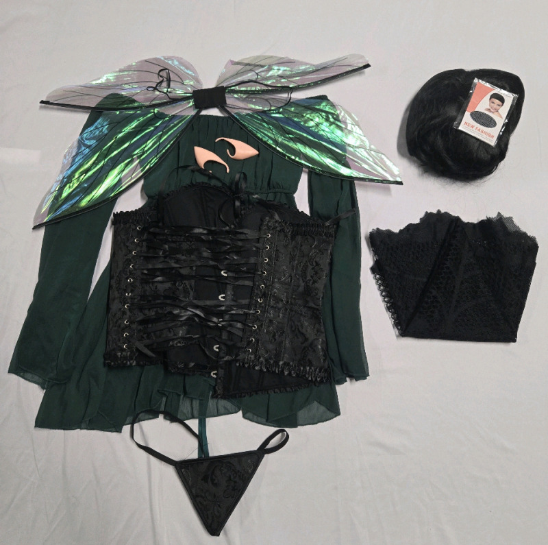 New | Size Large Ladies Halloween Lot | Includes Fiary Costume W/ Wings & Corsette | Black Cosplay Wig & Black Spider Veil