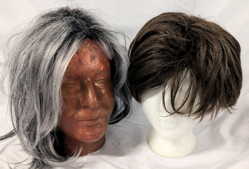 2 Wigs. Both appear unused. No sizes listed.