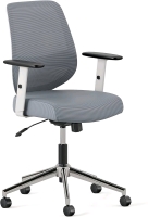 New Branch Daily Chair Computer Office Chair with Swivel, Lumbar Rest, and Adjustable Armrests - Sustainable, Stylish Mesh, & Adjustable Armrests. 55.9D x 55.9W x 96.5H Centimetres. Retails for Over $600!