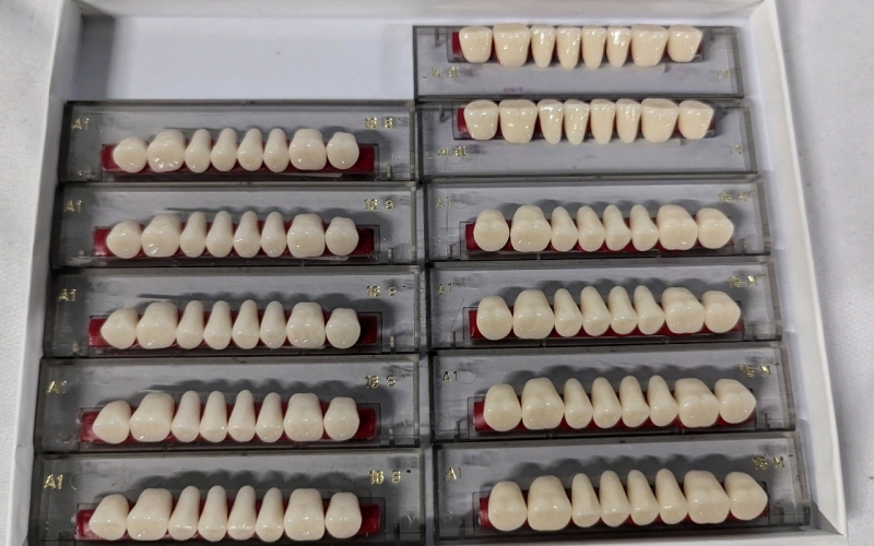 [Dentistry] 11 New Enta Prosthetic Teeth Sets. Anterior and Posterior.