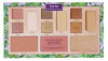 New | Tarte Clay Play Face Pallete V2