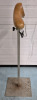 Gentleman's Suit Valet Stand - 35" Tall Heavy Metal Base Freestanding - 4