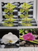 9 Stretched Canvas Orchid Photo Prints 11" x 11" & Clear Storage Tote with Lid 26x16x12"