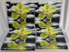 9 Stretched Canvas Orchid Photo Prints 11" x 11" & Clear Storage Tote with Lid 26x16x12" - 2